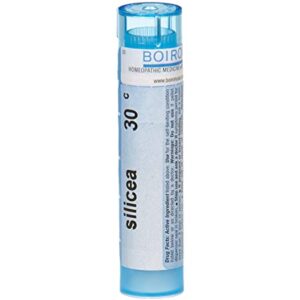 Boiron Homeopathics Silicea 30C 80 Pellet Tube